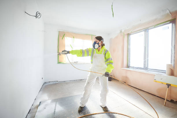 Best Basement Mold Removal  in Edmonston, MD