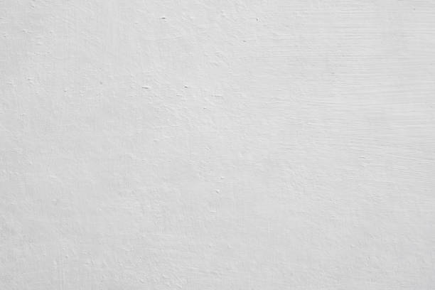 Best Black Mold Removal  in Edmonston, MD