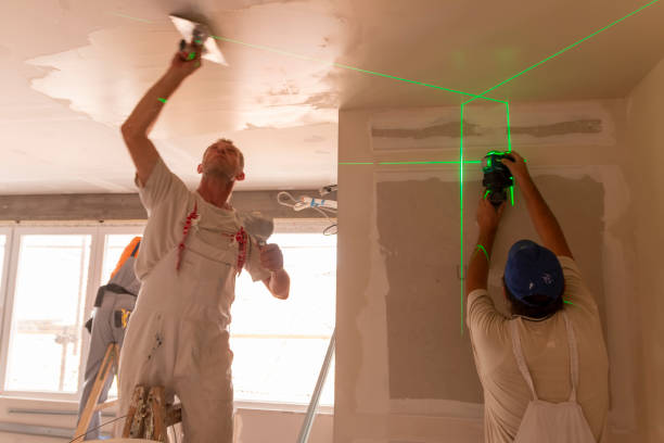 Best Emergency Mold Remediation  in Edmonston, MD